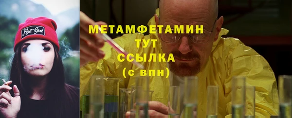 прущие грибы Лабытнанги