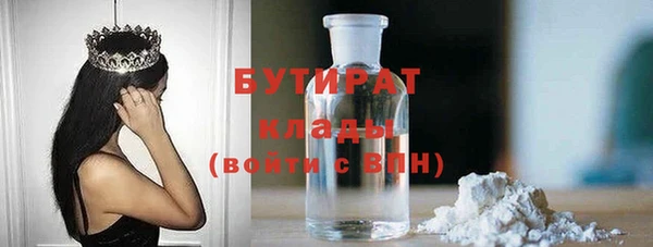 прущие грибы Лабытнанги