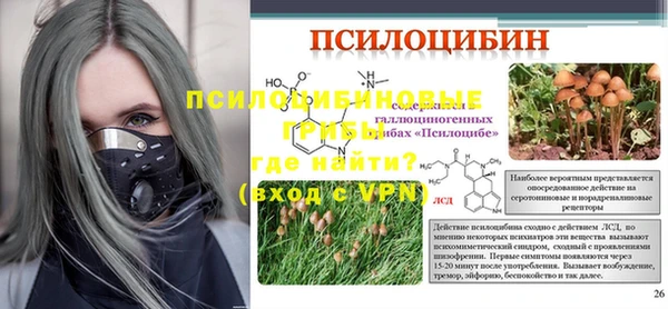 2c-b Ладушкин