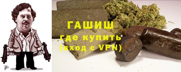 прущие грибы Лабытнанги